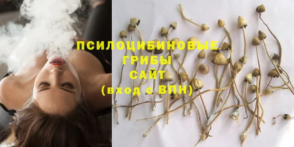 прущая мука Ладушкин