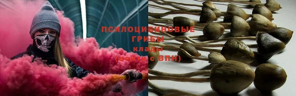 Альфа ПВП Лабытнанги