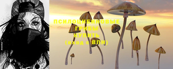 прущая мука Ладушкин