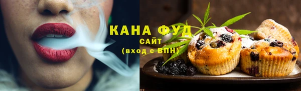 Альфа ПВП Лагань