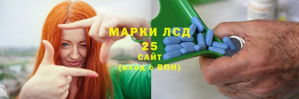 Альфа ПВП Лагань